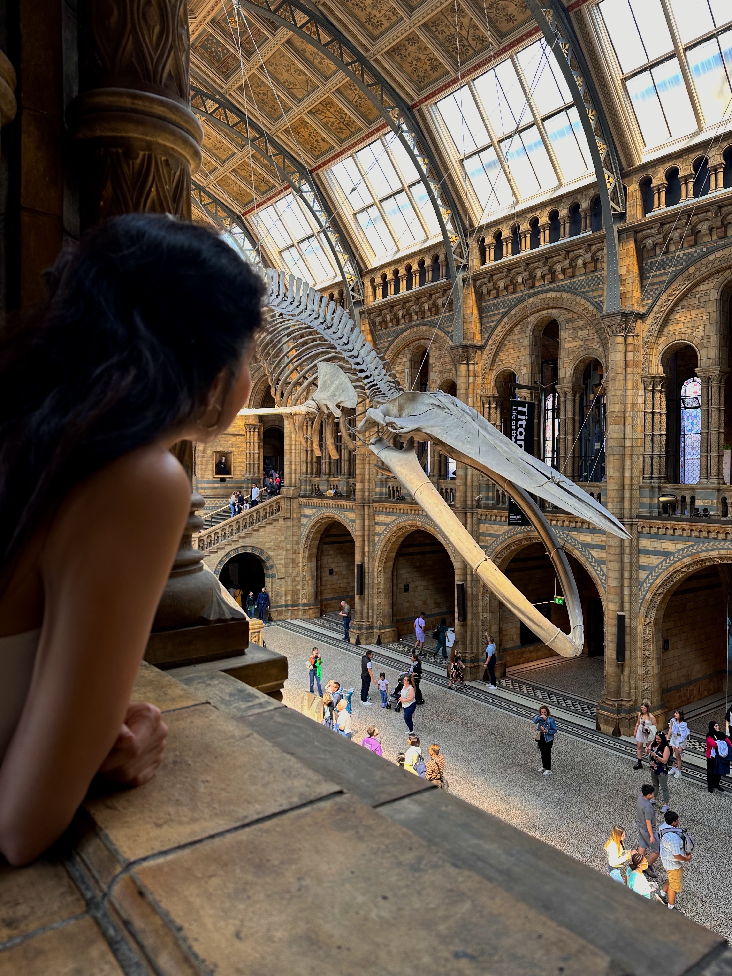 Things to do in London: Natural History Museum